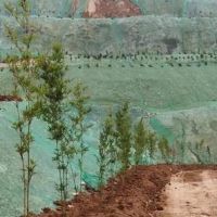 綿陽推進(jìn)涉礦生態(tài)環(huán)境問題綜合整治，近一年實地檢查礦山超100座