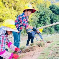 福建永定:投入1.53億元修復洪山廢棄礦山生態